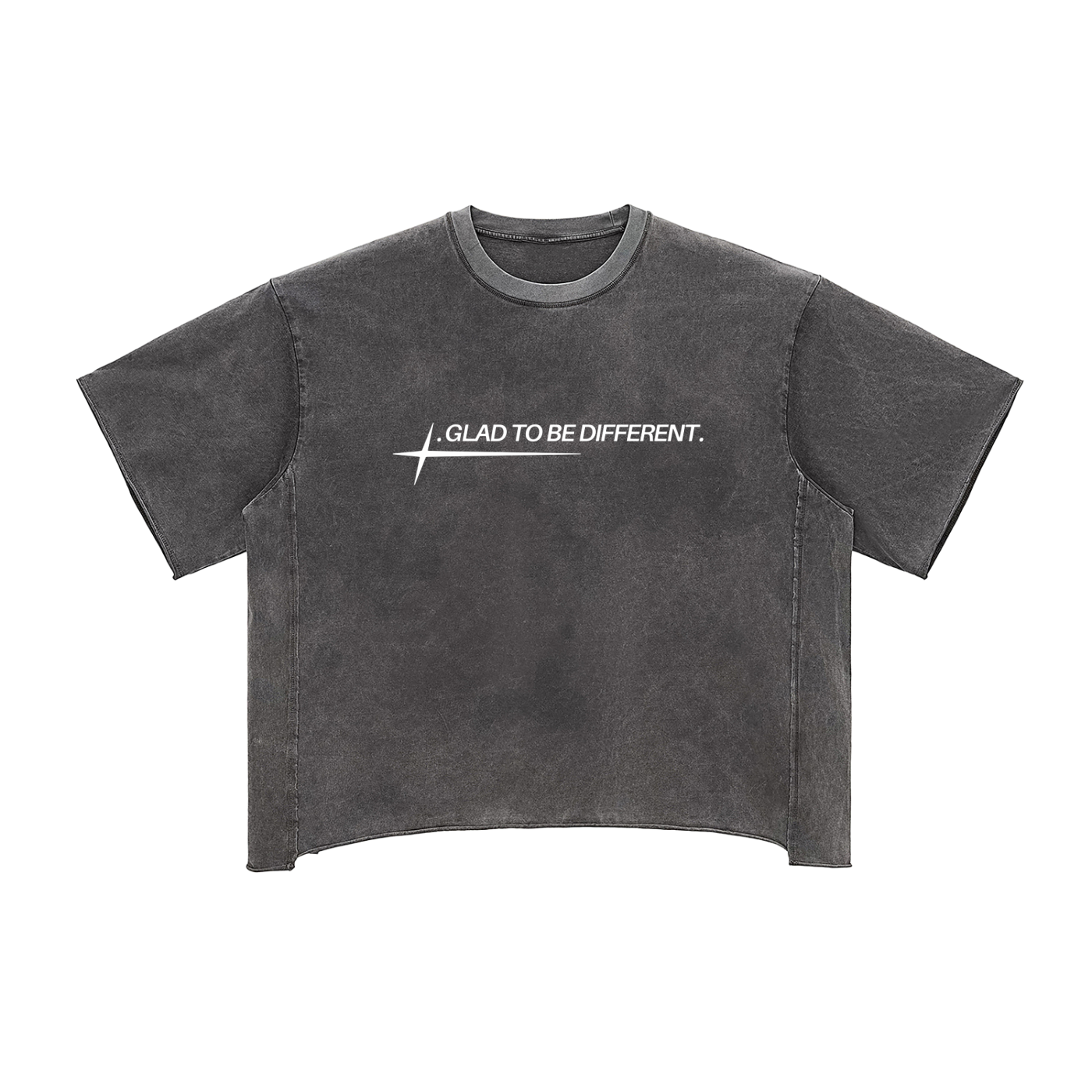 “Glad To Be Different” - Raw Edge Snow Washed Boxy T-Shirt